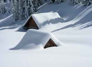 alm-friuli-snow-snowfall-45204.jpeg